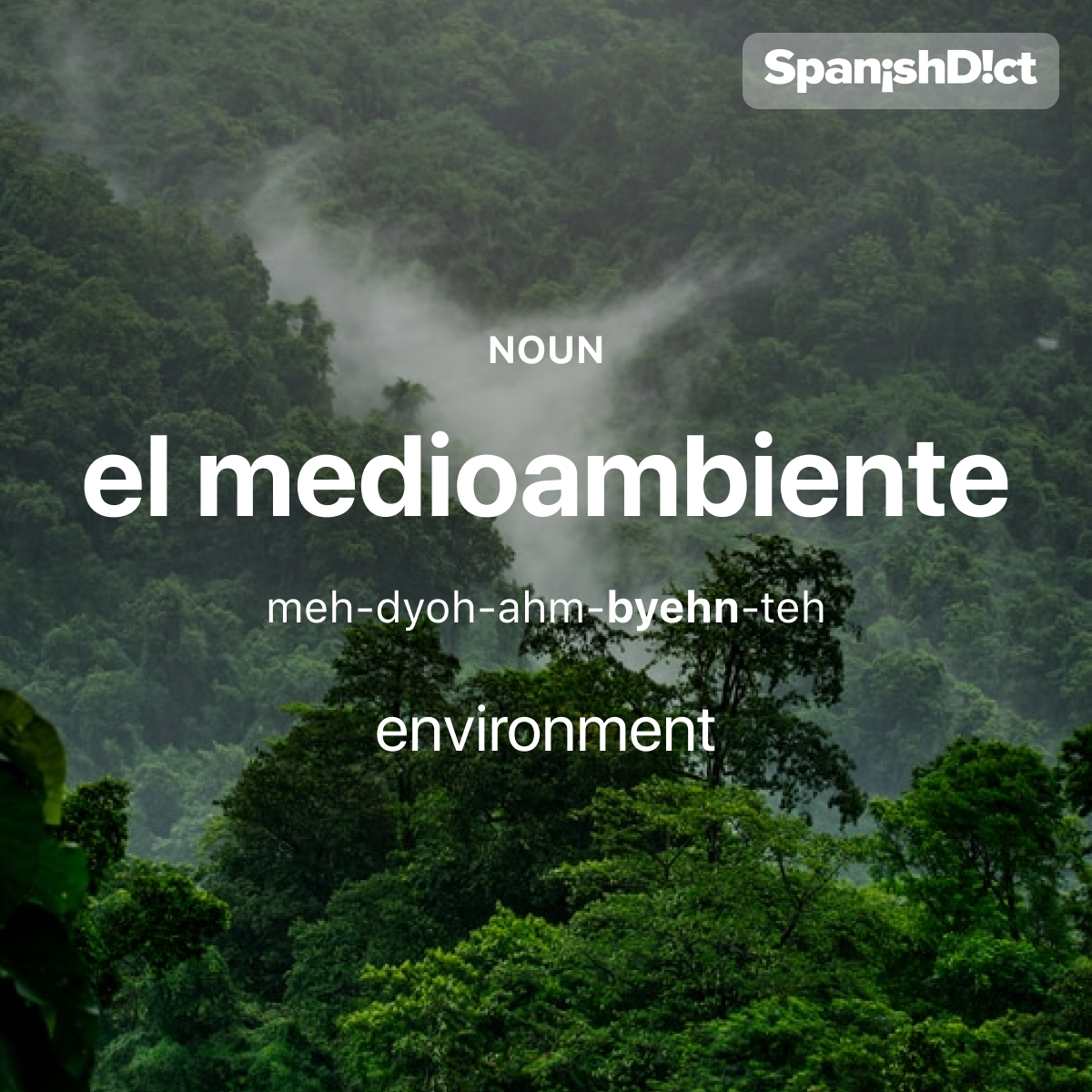 SpanishDict's tweet photo. Today's #WordOfTheDay is "medioambiente." 🏞️♻️ For example: Es importante cuidar del medioambiente.  - It's important to take care of the environment. 
.
.
.
#EstudiaEspañol #StudySpanish #AprendeEspañol #LearnSpanish #Español #Spanish #LearningSpanish #PalabraDelDia https://t.co/JZLPgMcQfa