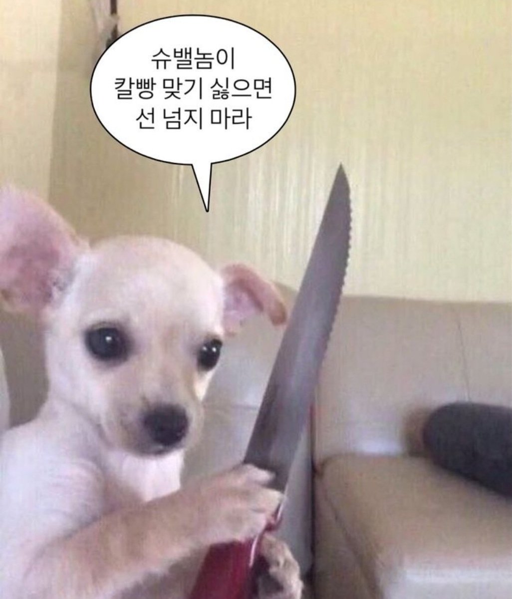 송공주 괴롭힌 사람 누구예요? 당장 데려 오세요🔪