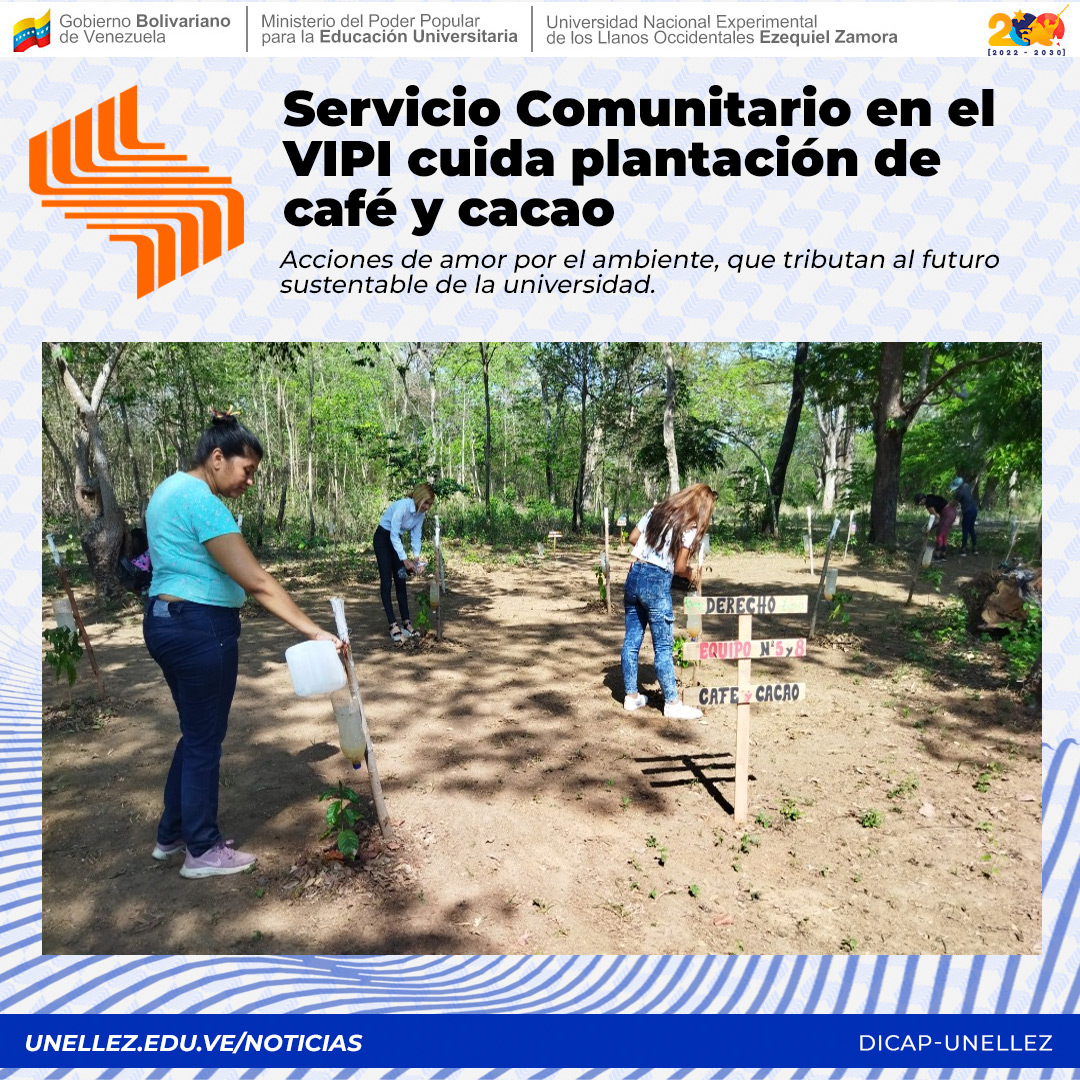 UnellezOficial_'s tweet photo. Prestadores de Servicio Comunitario de la #Unellez en el estado Cojedes #VIPI, atendieron plantación de café y cacao, ubicada en el Sendero de Interpretación Ambiental y en las Áreas Deportivas de la universidad. https://t.co/YaICdNUCI8
#Café #Cacao
#FiestaDeportivaDelALBA https://t.co/btyLeUWtKg