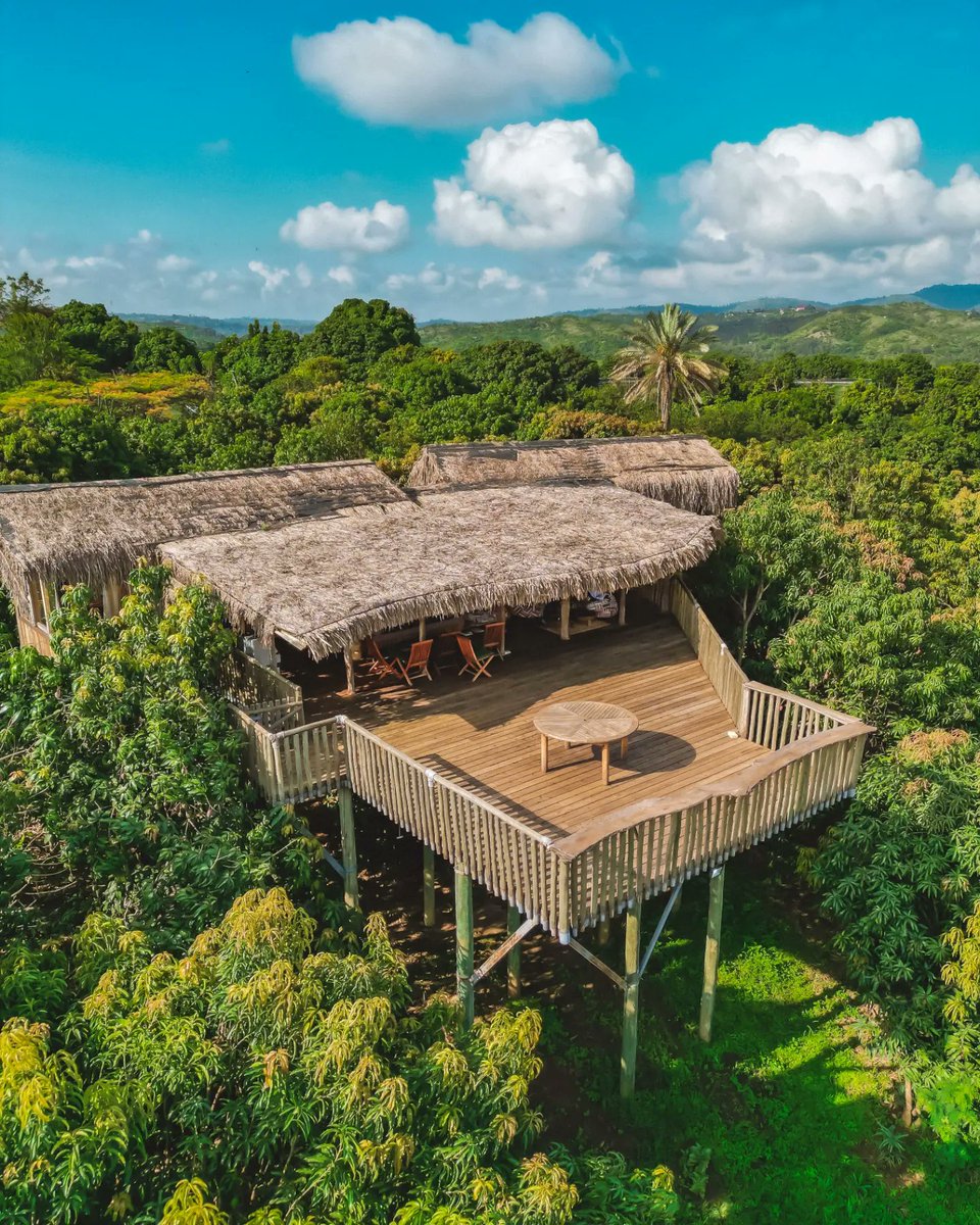 WBtCreative's tweet photo. On this Earth Day, we're celebrating the beauty of nature with aerial views we shot of a unique tree house Airbnb in Murang'a. Nestled among the trees, this cozy getaway provides a perfect escape from the everyday life. Wake up to the sounds and views of nature.

#HappyEarthDay https://t.co/q2cc8ke6xb