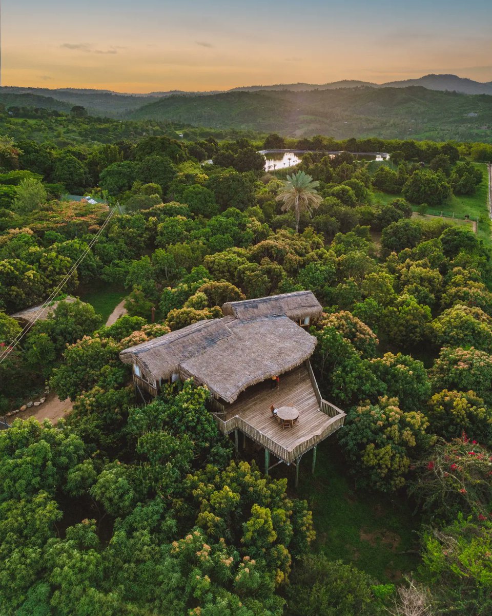 WBtCreative's tweet photo. On this Earth Day, we're celebrating the beauty of nature with aerial views we shot of a unique tree house Airbnb in Murang'a. Nestled among the trees, this cozy getaway provides a perfect escape from the everyday life. Wake up to the sounds and views of nature.

#HappyEarthDay https://t.co/q2cc8ke6xb