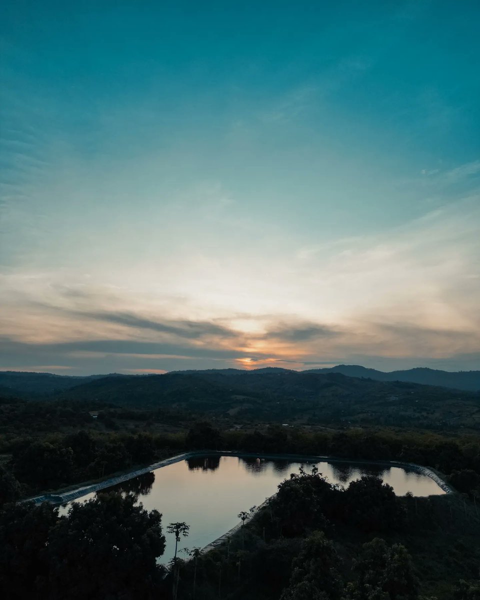 WBtCreative's tweet photo. On this Earth Day, we're celebrating the beauty of nature with aerial views we shot of a unique tree house Airbnb in Murang'a. Nestled among the trees, this cozy getaway provides a perfect escape from the everyday life. Wake up to the sounds and views of nature.

#HappyEarthDay https://t.co/q2cc8ke6xb