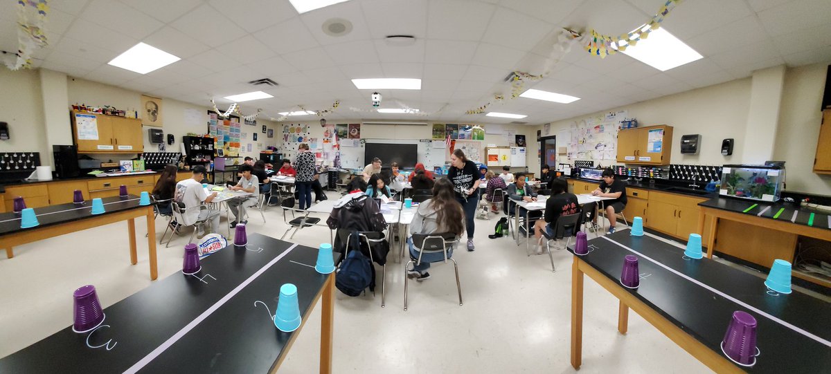 SRattlerscience's tweet photo. @SMHS_SMCISD 1st ever Biology EOC Olympics is underway! Stick around for updates #DontDoubtUs #Keys2SMHS https://t.co/nb00jYCIX2
