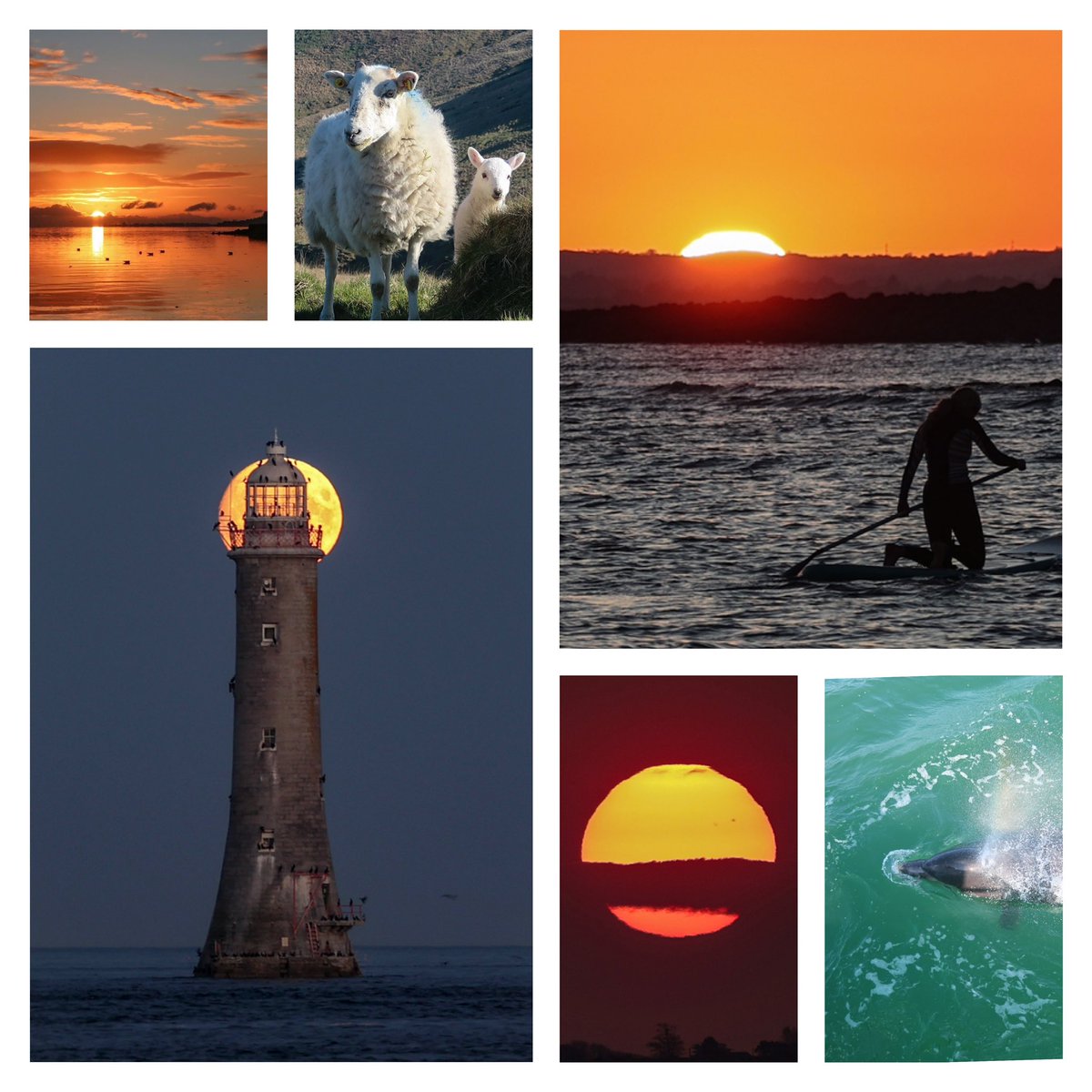 Carlingford Lough tweet media