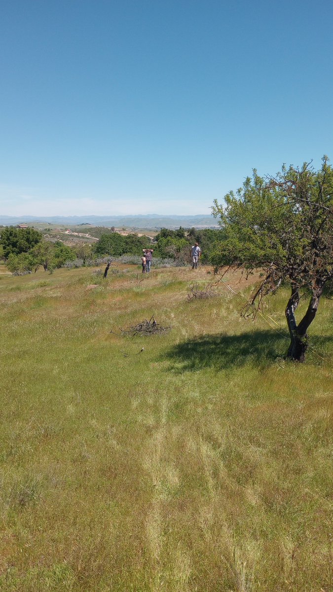Cal Poly Geology tweet media