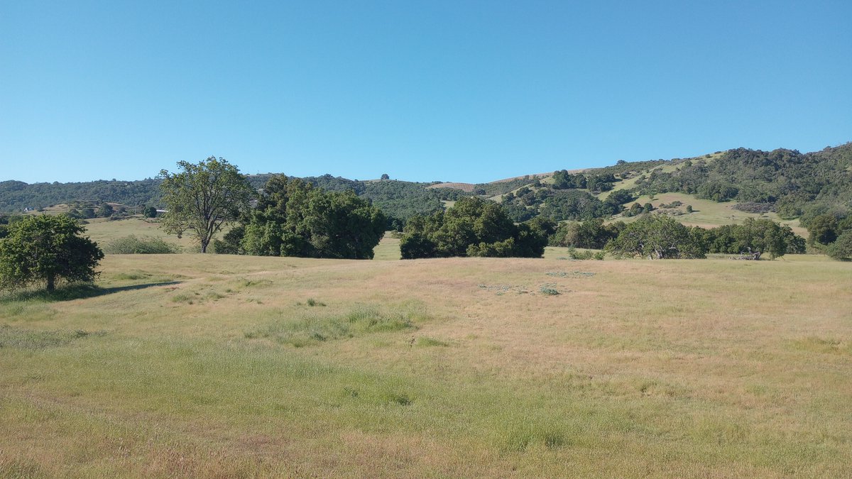 Cal Poly Geology tweet media