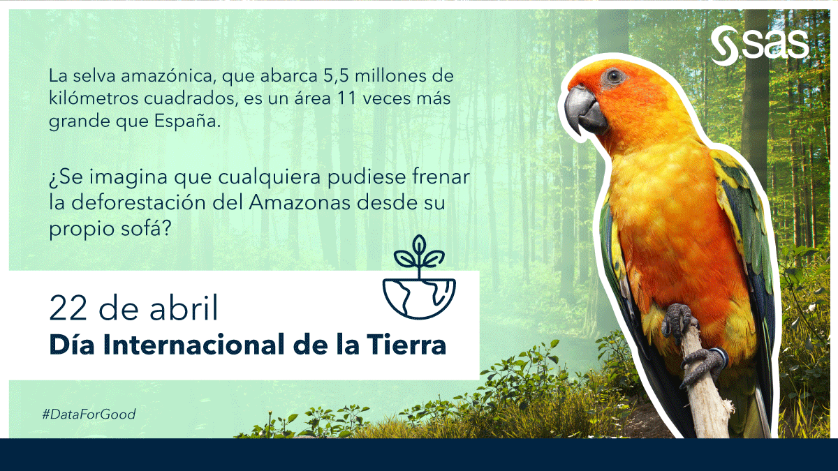 Sas_Colombia's tweet photo. El desafío global de proteger el planeta tiene como gran aliado a la tecnología. Desde SAS hemos hecho esfuerzos para que la #IA permita conservar el planeta de forma escalable y rápida. Conozca más a continuación.  #DataForGood #DíaDeLaTierra 🌎 https://t.co/1Hfk1HbEp7 https://t.co/ciucOkQ6uJ