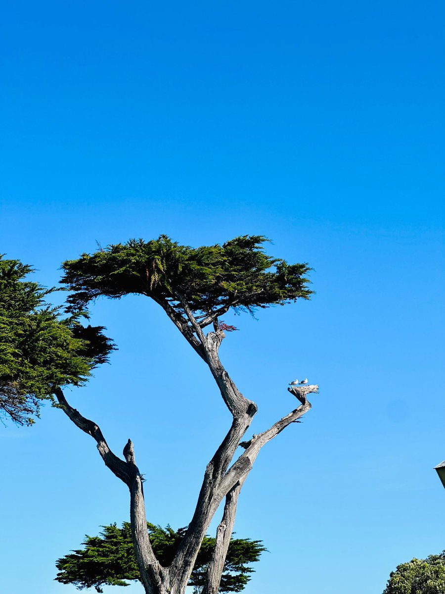 Siriikigai's tweet photo. I'm asking those who love the outdoors to post a picture & that YOU took. Just a pic. No description.The goal is to regain peace & harmony without negativity,let's look at these beautiful pictures. #NatureBeauty #iphonephotography #beaches #spring #NaturePhotography #aprilouting https://t.co/46IsDy5OCp