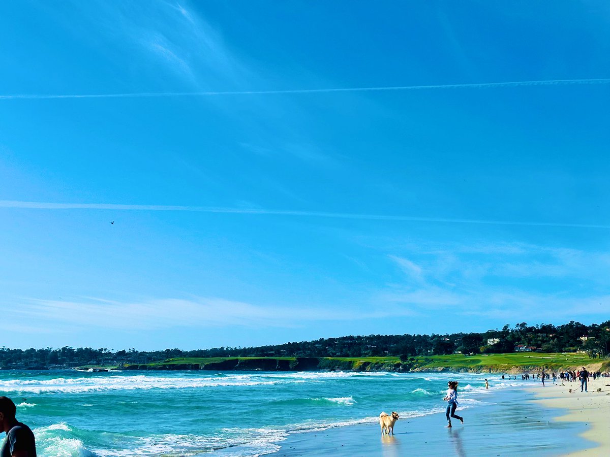Siriikigai's tweet photo. I'm asking those who love the outdoors to post a picture & that YOU took. Just a pic. No description.The goal is to regain peace & harmony without negativity,let's look at these beautiful pictures. #NatureBeauty #iphonephotography #beaches #spring #NaturePhotography #aprilouting https://t.co/46IsDy5OCp