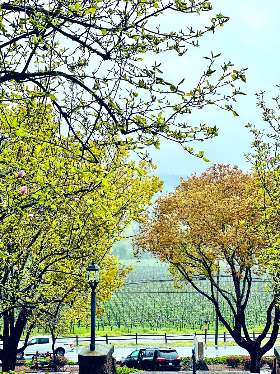 Siriikigai's tweet photo. I'm asking those who love the outdoors to post a picture & that YOU took. Just a pic. No description.The goal is to regain peace & harmony without negativity,let's look at these beautiful pictures. #NatureBeauty #iphonephotography #beaches #spring #NaturePhotography #aprilouting https://t.co/46IsDy5OCp