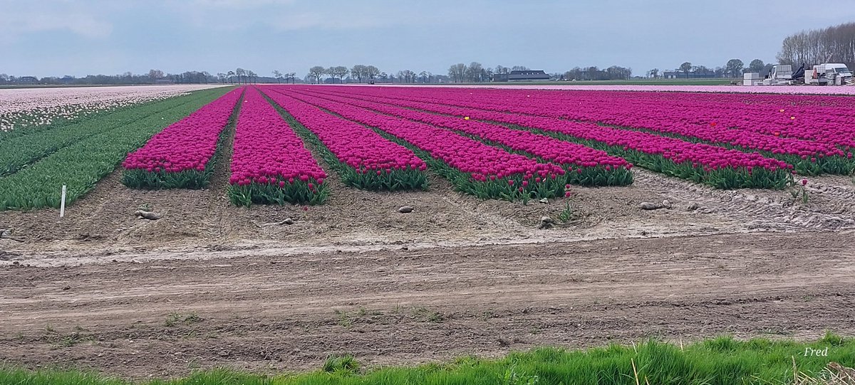 Fred (@fred4cv) on Twitter photo 