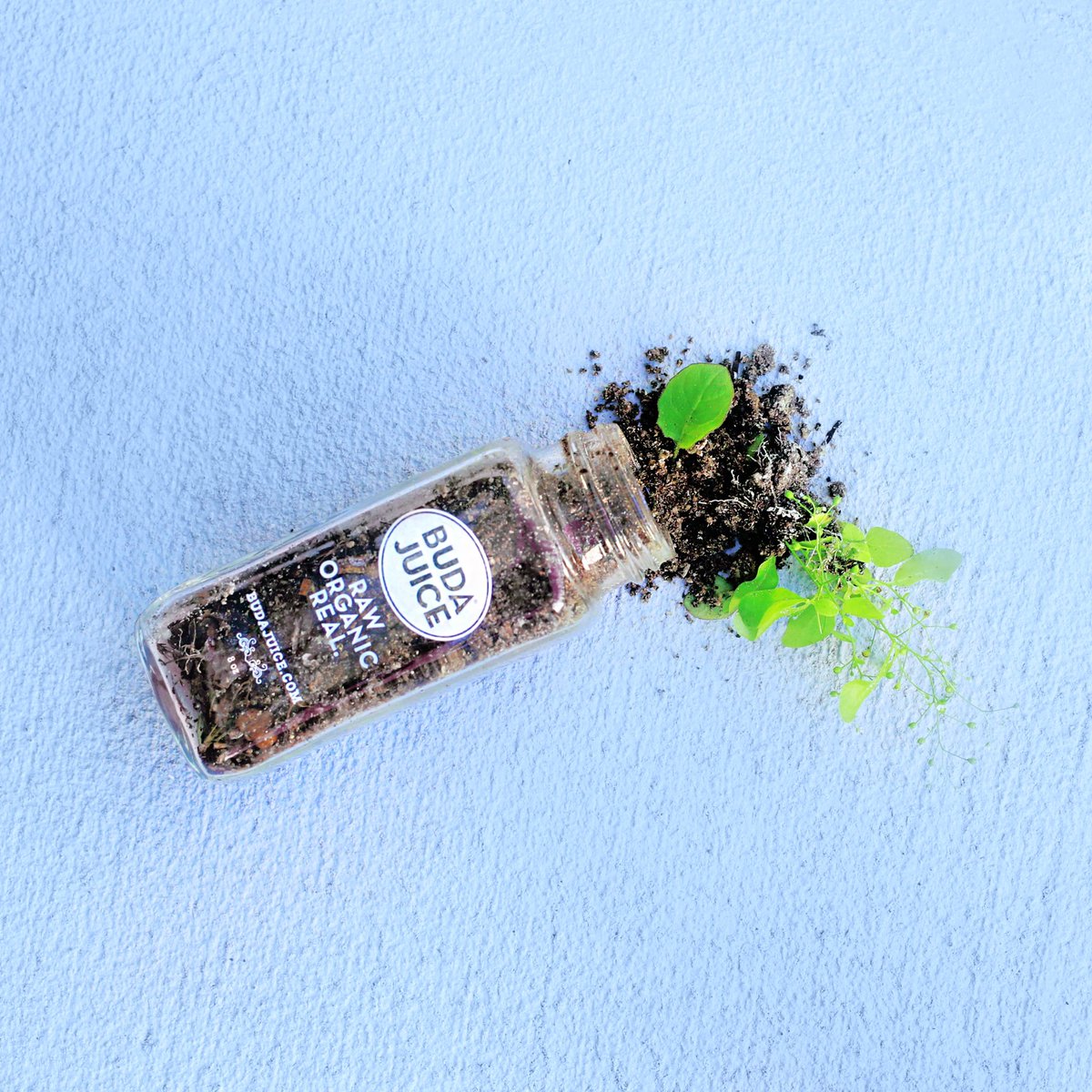 BUDA JUICE tweet media