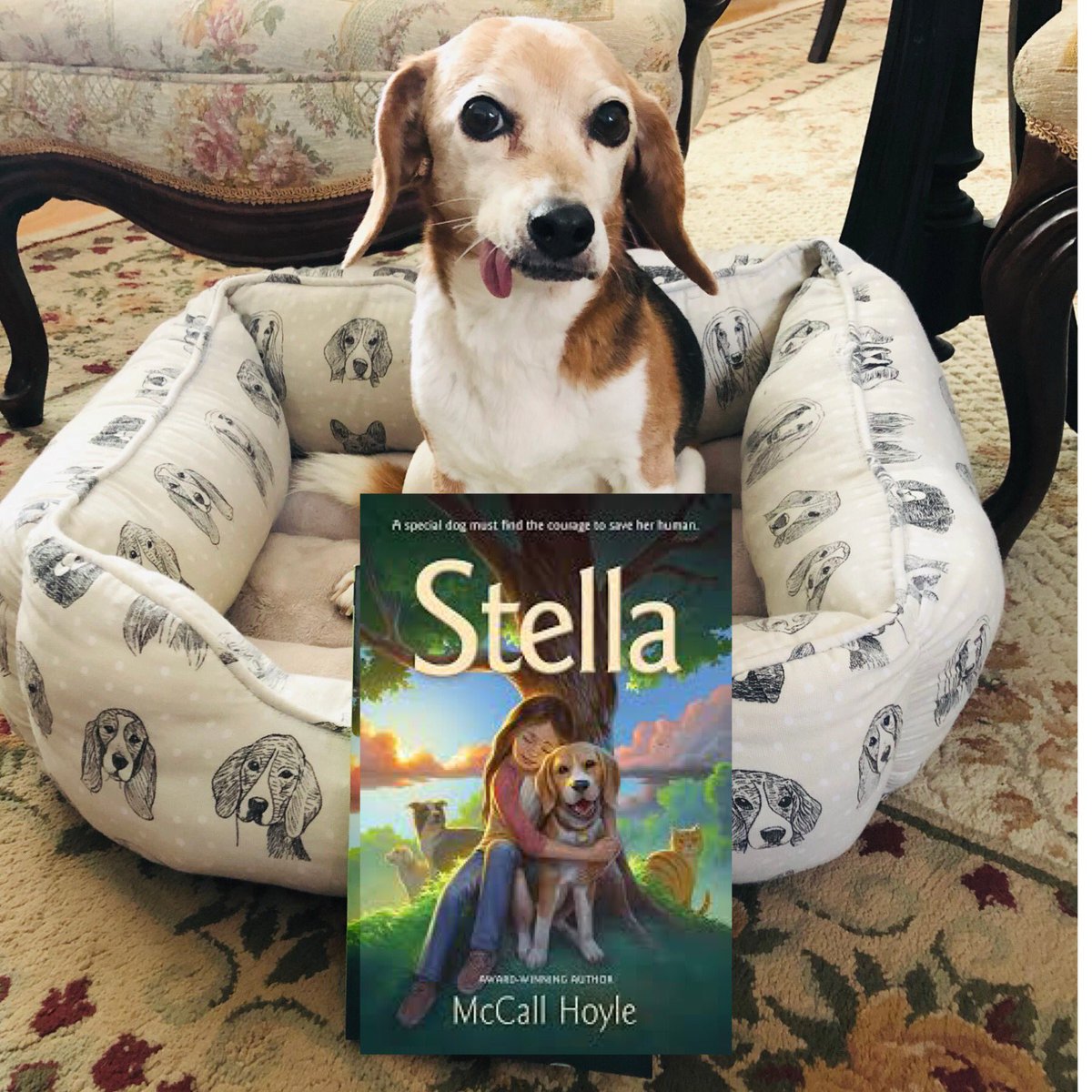 lauramossa's tweet photo. AROO! It’s #NationalBeagleDay! 🐶 Bella is hosting a #giveaway of one of our favorite #mglit beagles, @McCallHoyle’s STELLA! F/RT by 4/22 10 pm to enter. Bonus entry for pup photo in comments. 🐾#beaglesandbooks #beaglefacts #middlegrade #kidlit https://t.co/QCAqkVKey8
