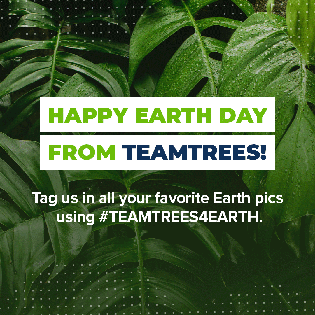 teamtreesofficl's tweet photo. How’s that for an earth day birthday present? 🌍
#BetterThanWeFoundIt #TreeHuggersUnite #TEAMTREES4EARTH https://t.co/3YzyPJANnI