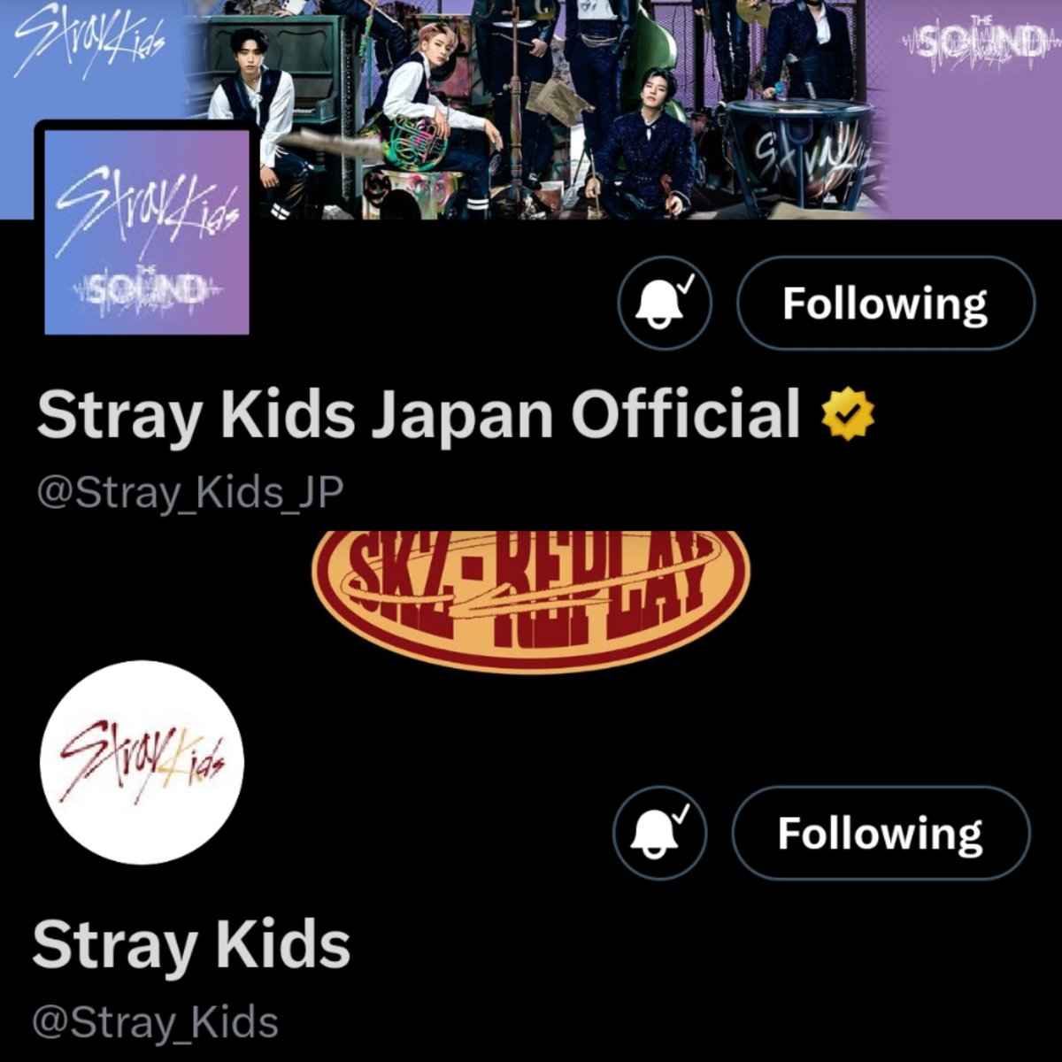 user <a href="/Stray_Kids/">Stray Kids</a> fight back?????