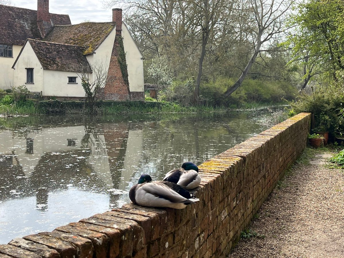 CGS_Geography's tweet photo. We are back at @FSCFlatfordMill for more A level fieldwork. Day 1 round up - sense of Place in Dedham #cgsgeography https://t.co/TBL2HliesY