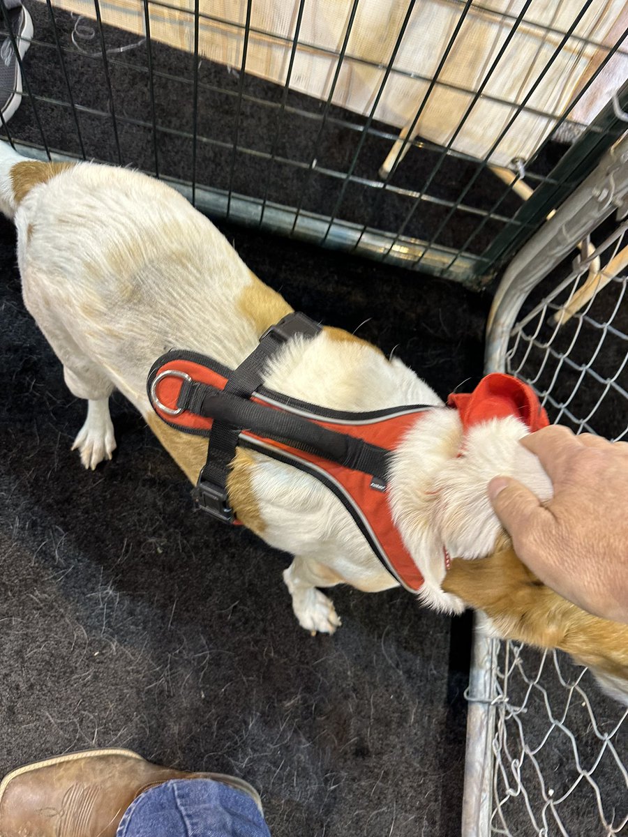 sawman268's tweet photo. Had a great time @APWATWEETS #show4snow saw some old friends and met some new ones. (Some with 4 legs) Tons of great products and equip see https://t.co/Q6FxvYF5Gt