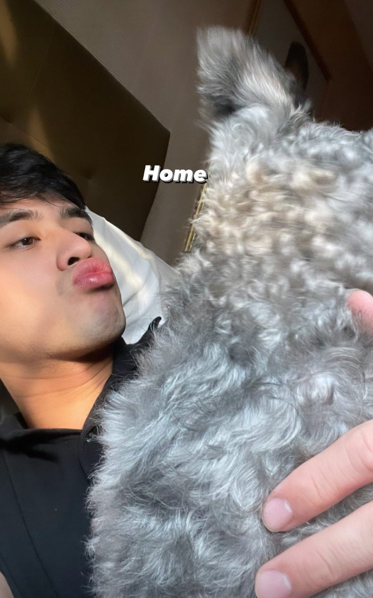 luckcatalyst's tweet image. Day 10284628273927 of wishing to be a dog 

#DavidLicauco