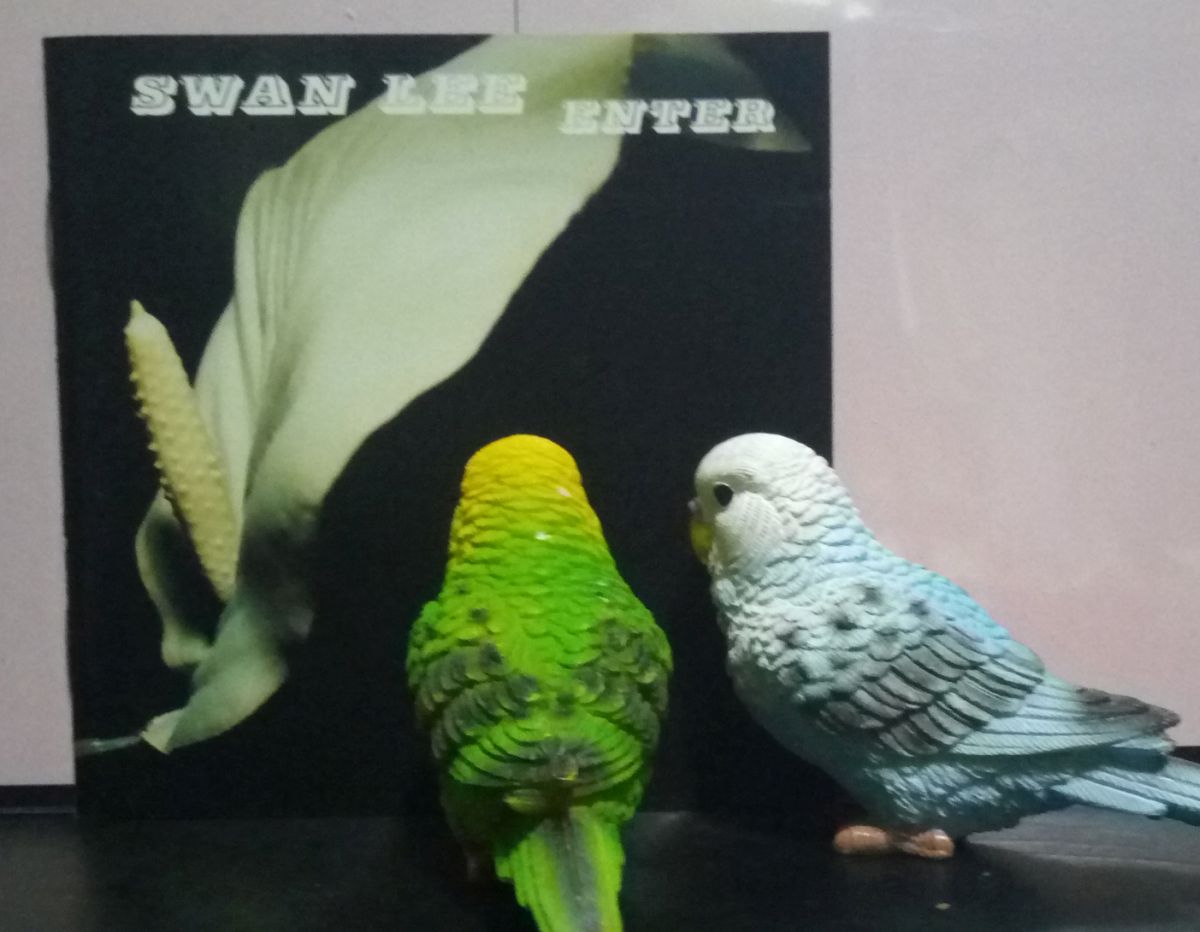 KuniyanBudgie's tweet photo. 音楽 聴き続けます。3枚目。
#NowPlaying #なうぷれ
SWAN LEE 🇩🇰 『ENTER』(2001/2002)
#SWANLEE https://t.co/roxvLj88De
