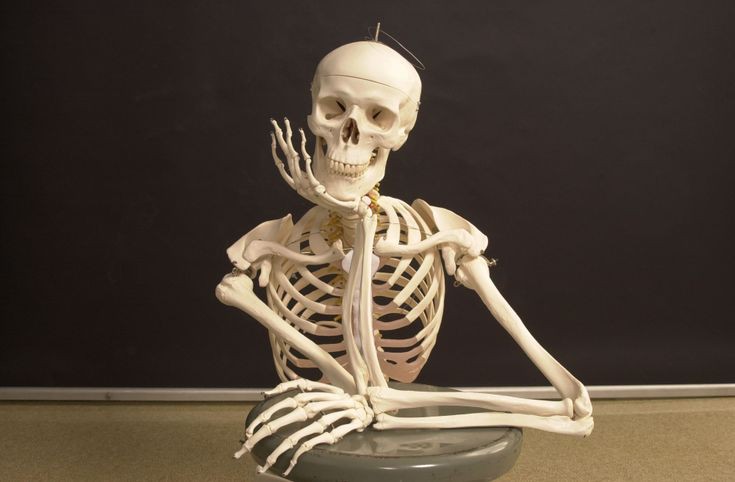 _eyspace's tweet photo. me: patiently waiting for d next update https://t.co/wdPfLGlGSu