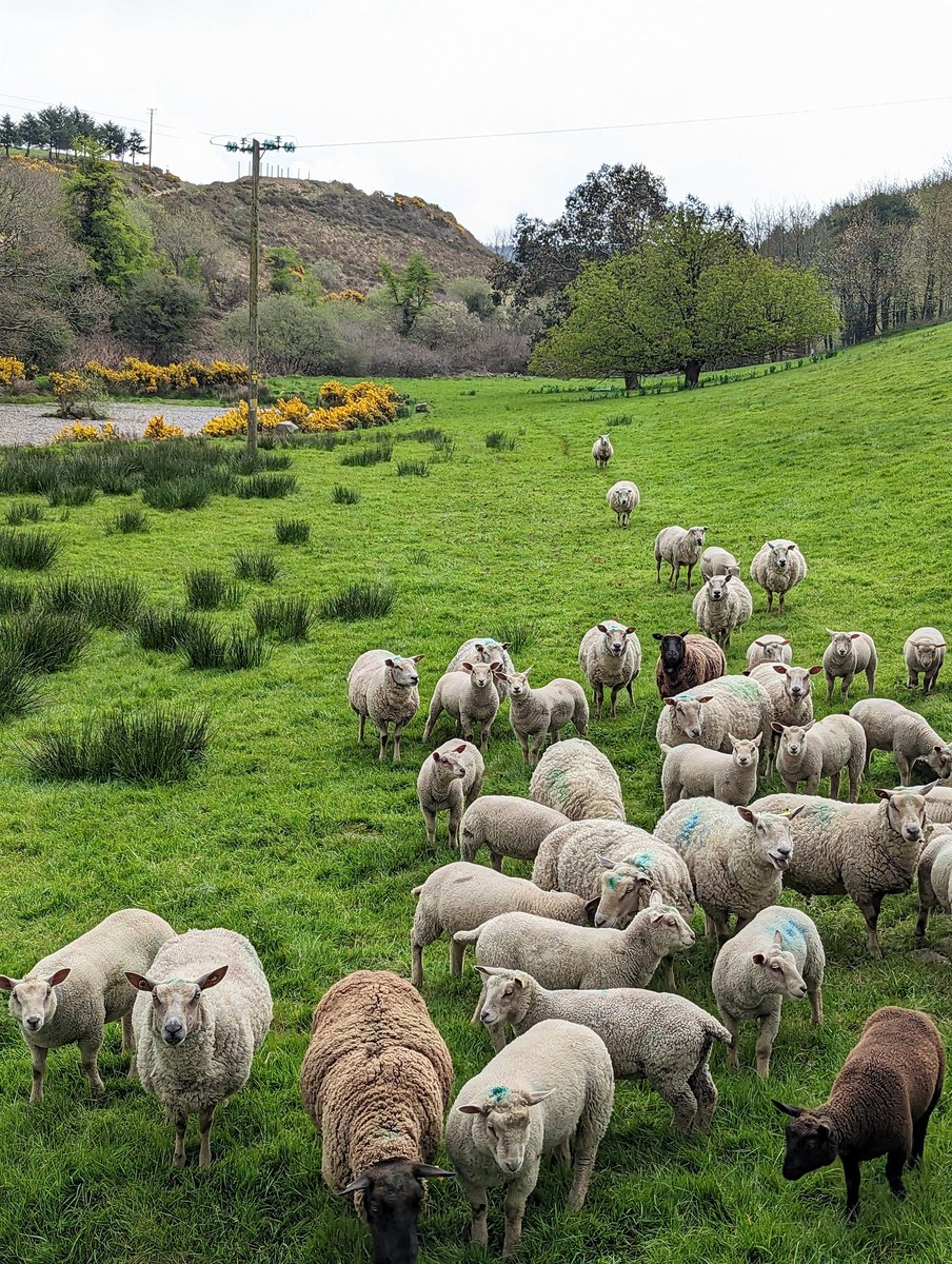 mairtinofaolain's tweet image. Oops Stop for one second and I'm feeling a bit guilty 😬 #NoFood 🚴