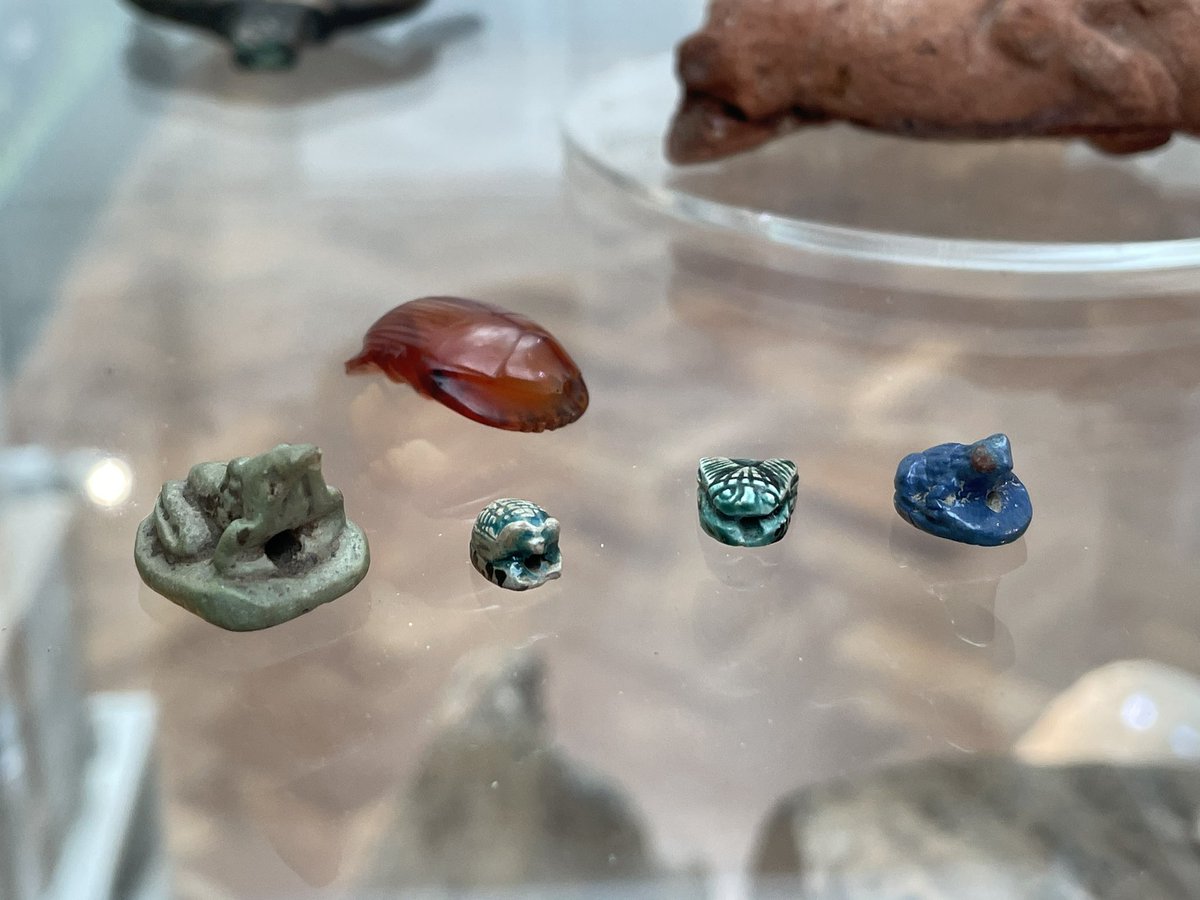 trumerz's tweet photo. Following the brilliant #TUT22 exhibition at @EBMuseum curated by @ImmortalEgypt last year, there are now over 200 more objects on display in the #BoltonsEgypt gallery that when we opened it in 2018!
And there’s a few hundred more to come over the next few months! https://t.co/pV6YyzfV7n