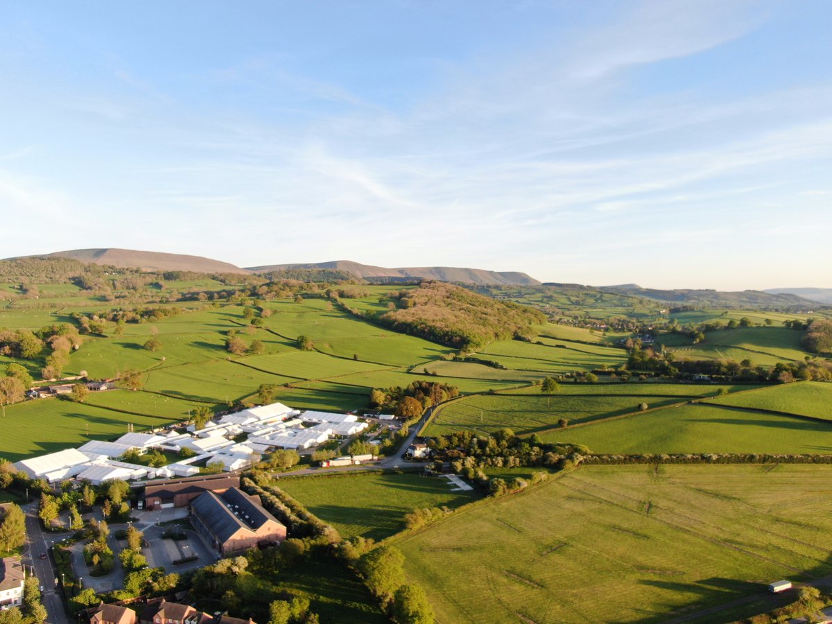 2 weeks 🕊️

📸: Yasmin Mitton

#HayFestival2023