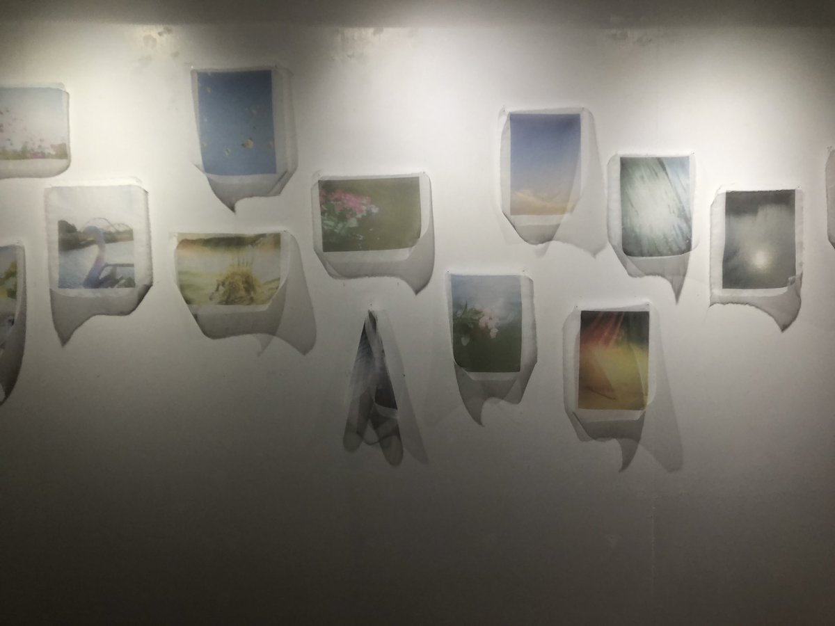 あずき白玉。｢沼の王展Ⅱ｣6/15-18｢pastime｣出展6/19-25 tweet media