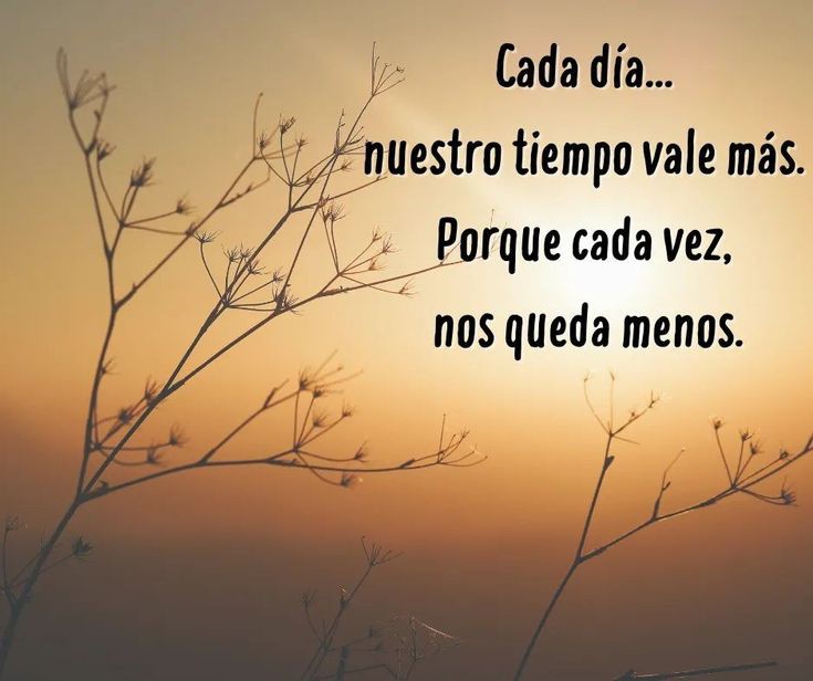 Vive cada día 🙌🦋☺️🩷✨