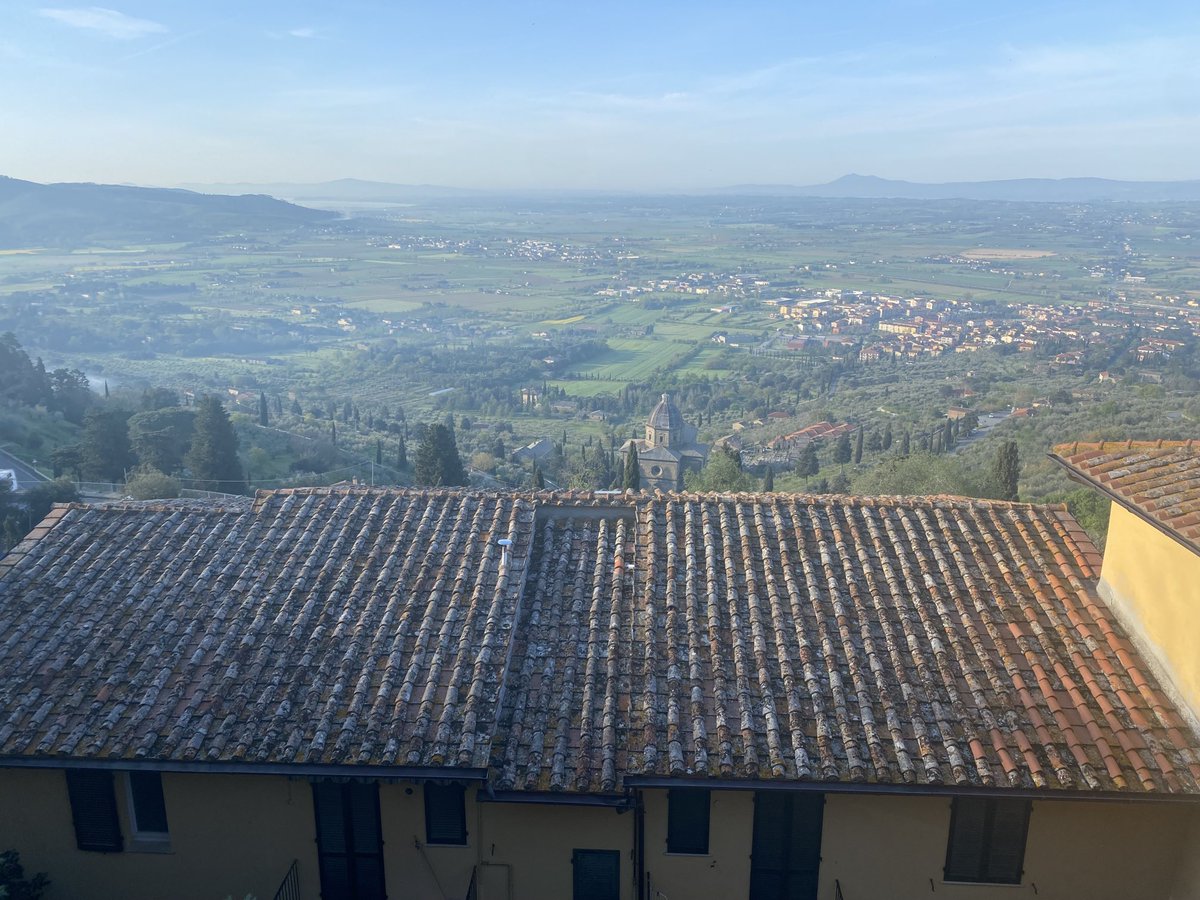 Michelle McDonald tweet media