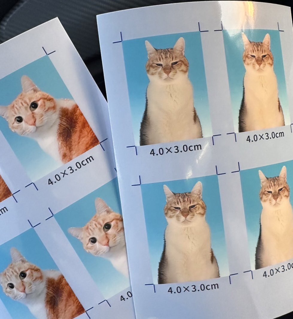 ちいうし (@pendulum_927) / Posts / X