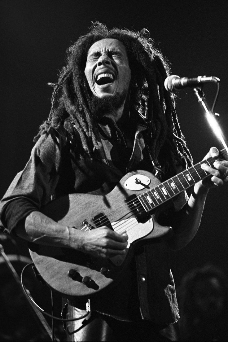 caaalaa27's tweet photo. bob https://t.co/hBR9XIJTUS