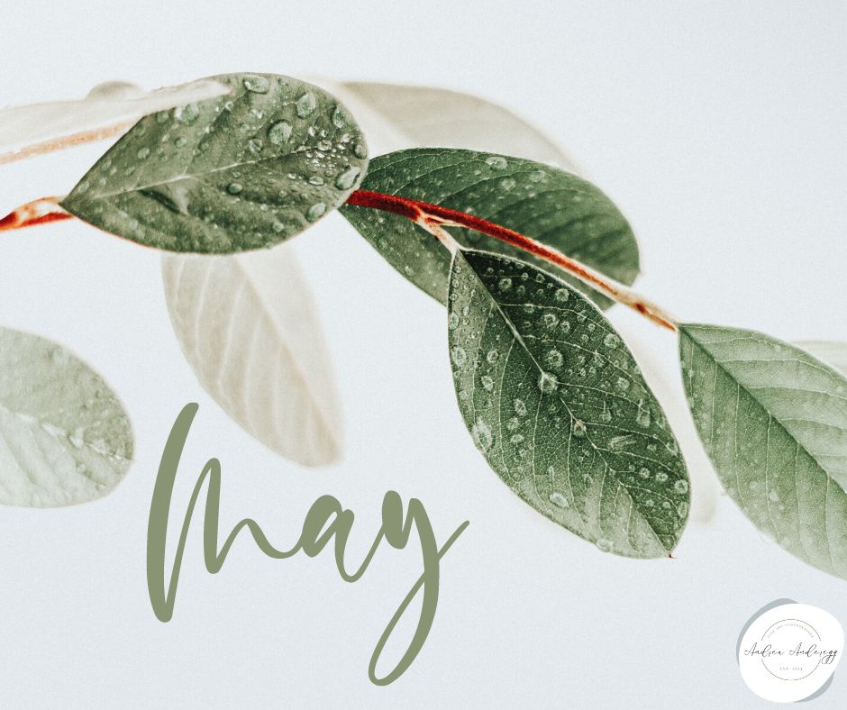 andreaanderegg's tweet photo. Hello #May!
SHOP HERE: https://t.co/7kHWyeX9SN
.
.
#spring #springdecor #mothersday #May1st #MayoUno #fisrtdayofmay #new #newbeginnings #decor #newdecor #wallartforsale #May #May2023 #may #hellomay #firstdayofmay #firstdayofmay🌸 https://t.co/9a3YGXvr3Z