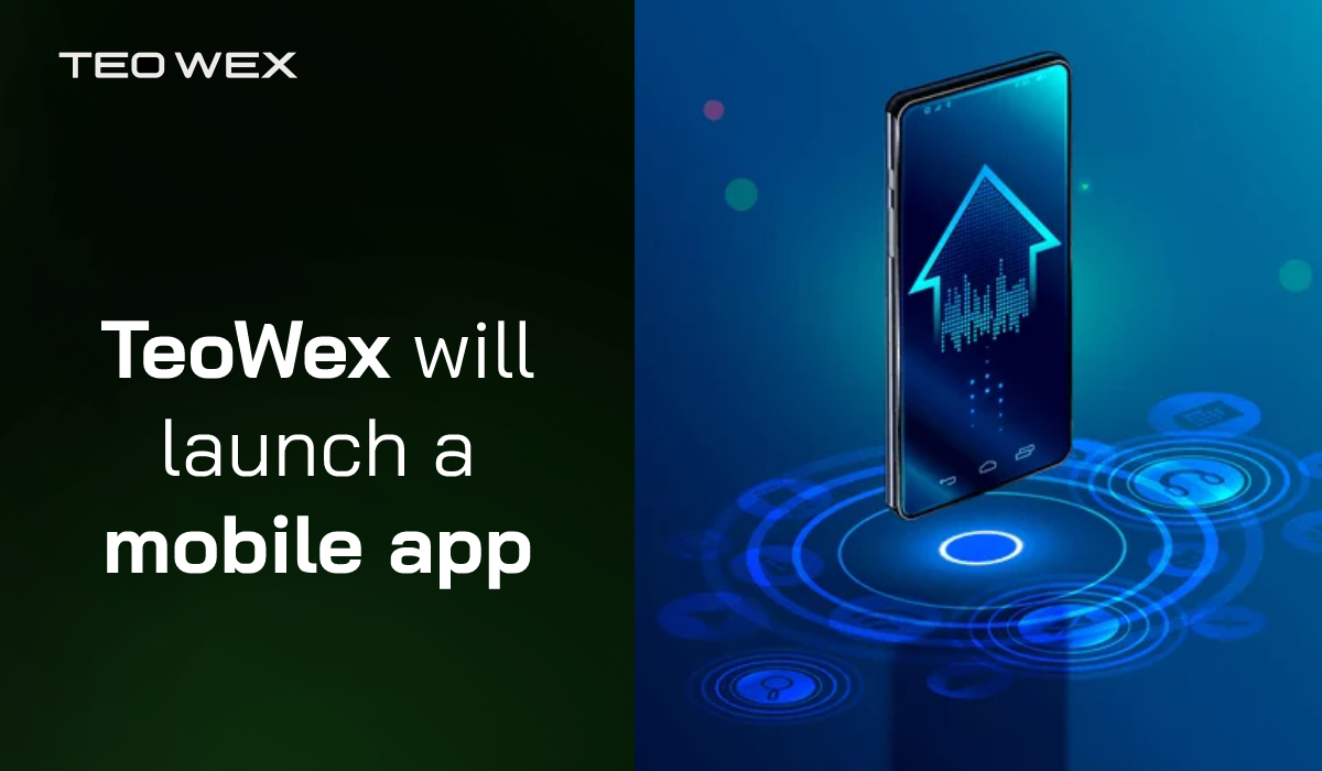 TeoWex tweet media