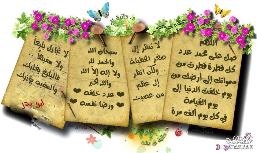 عادل عبد المنعم (@dlbdlmnm6) on Twitter photo 