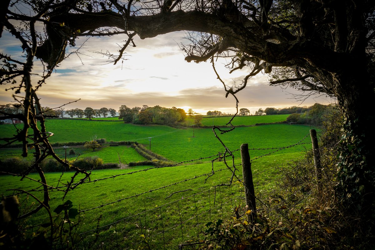GoNorthWales's tweet image. "North Wales is a place of endless wonder, where every corner reveals a new and breathtaking view." 

📍Pencoed / Mount Wood,  Denbigh

#GoNorthWales #Hiraethog