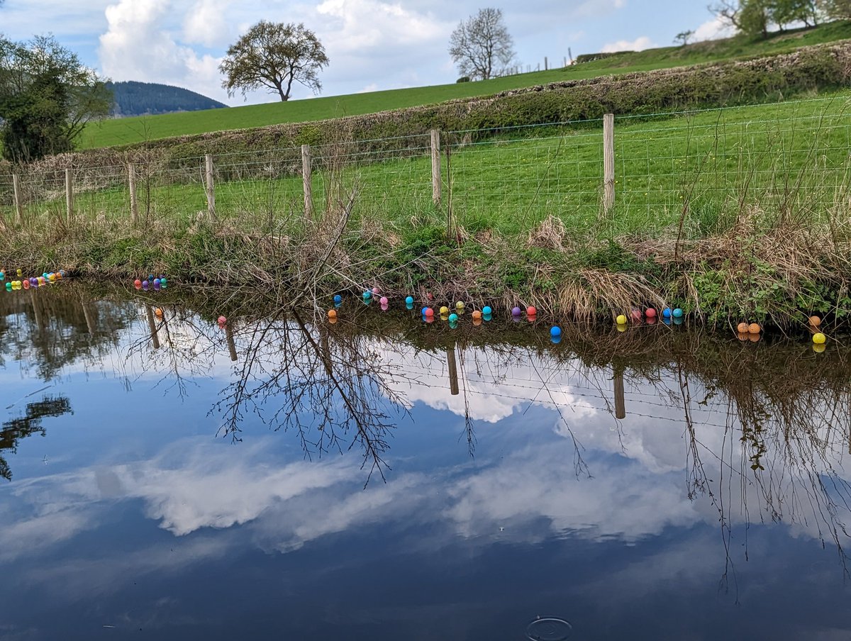donnasw7's tweet photo. Having a lovely time on Llangollen canal. Why would anyone leave a load of plastic balls in such a beautiful place. #llangollencanal #pollution https://t.co/k3HKaPrcyw