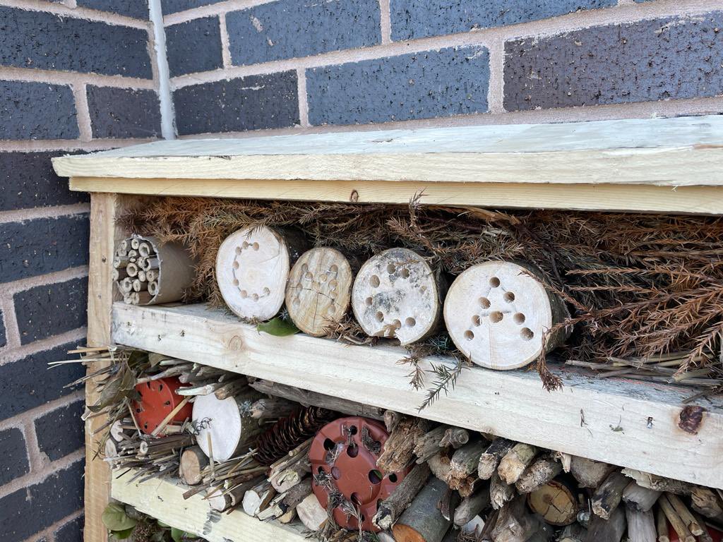 cmca_uk's tweet photo. Happy 🌎 Day! We’re celebrating with the grand opening of our bug hotel! Made using broken pallets &amp; foraged items by our handy team. The hotel will be located at our head office in green space we are renovating into a safe haven for pollinators and wildlife #Sustainability https://t.co/WKbc9ygYgA