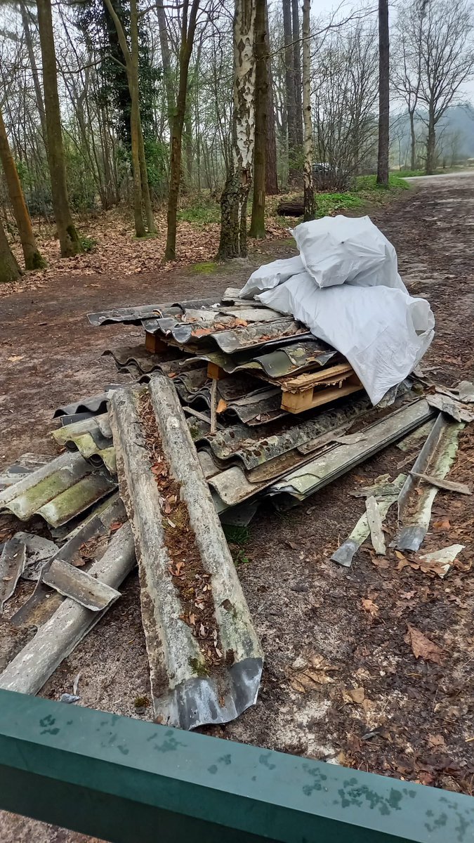 Je sloopt je schuurtje en mag het asbest gewoon naar de milieustraat brengen. Maar iemand nam de moeite het in het bos te dumpen. De bos eigenaar mag het echter niet wegbrengen en moet een opruimbedrijf inschakelen. Een #afvaldumping #asbest zoals deze kost al gauw 2000,- 😡👎🏼