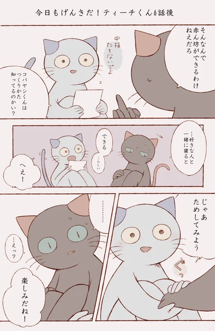 できなかった※少しティチコバ #ねこのティーチくん 