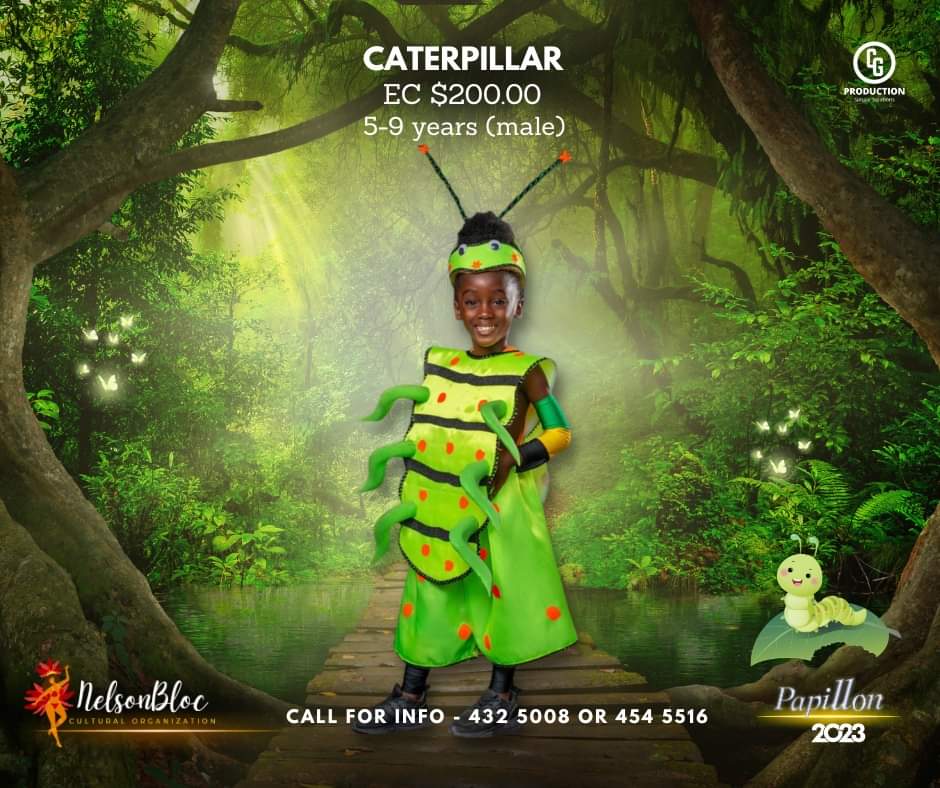 cin_vincent's tweet photo. 10 time band of the year Nelson Bloc has launched their 2023 #vincymas presentation Papillon.

#vincymas #carnivalchasers #tuesdayjam https://t.co/5QNmlrTRVp