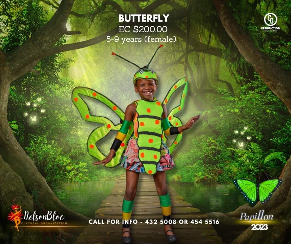 cin_vincent's tweet photo. 10 time band of the year Nelson Bloc has launched their 2023 #vincymas presentation Papillon.

#vincymas #carnivalchasers #tuesdayjam https://t.co/5QNmlrTRVp
