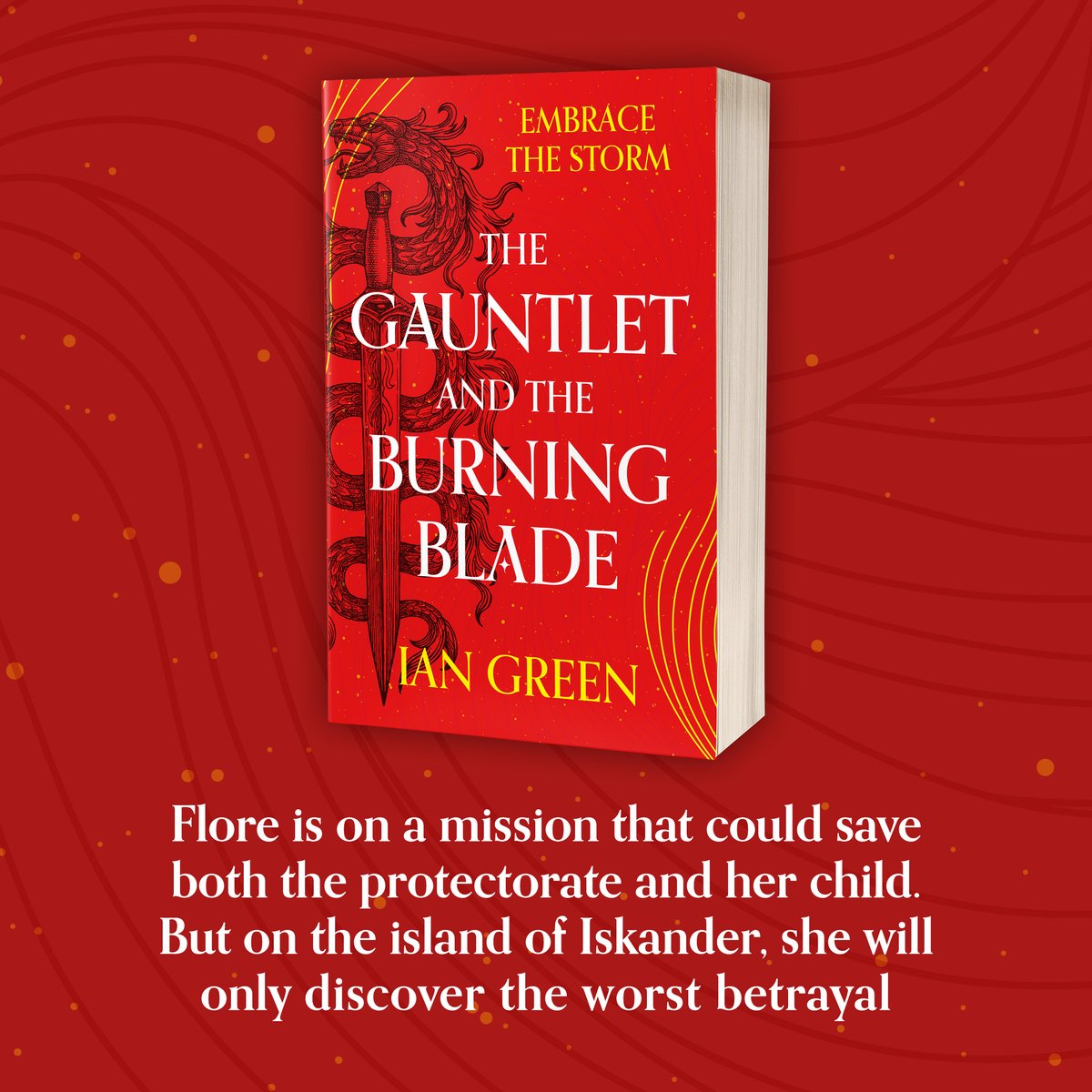 AdAstraFiction's tweet photo. Will Stormguard steel be enough to meet the coming tempest? 

Find out in #TheGauntletAndTheBurningBlade by @IanTheGreen, out now in paperback 👉 https://t.co/1vXQJP1u39 https://t.co/H7OqJye56j