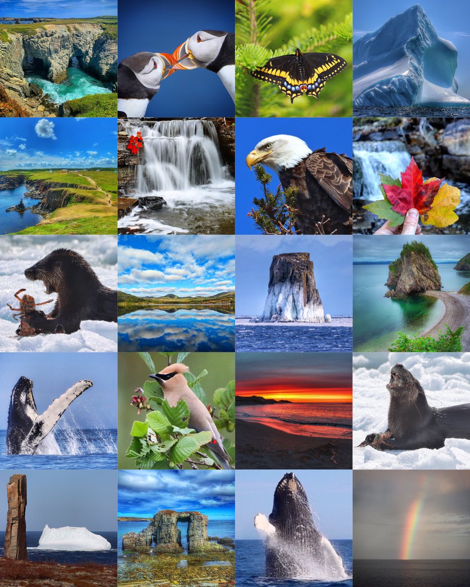 GrayMarker99's tweet photo. Good morning!
Happy Earth 🌎 Day!! 
The beauty of nature that exists in our area is second to none. Just awesome. 
Have a great day! #EarthDay2023 #EarthDayEveryDay https://t.co/4Vt0f4kaY8