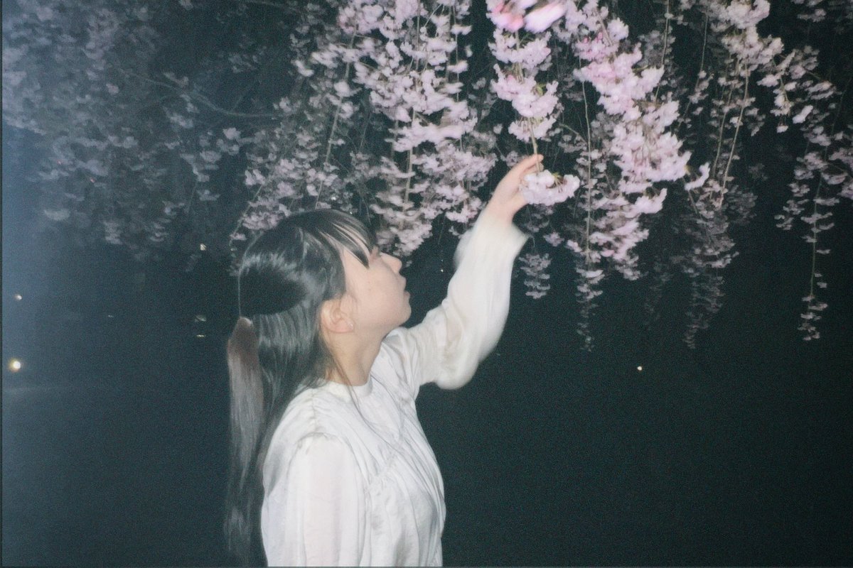 nemu8101's tweet photo. 桜散ってたけど来年また君と見れればいいや https://t.co/NvZ0LV8pOP
