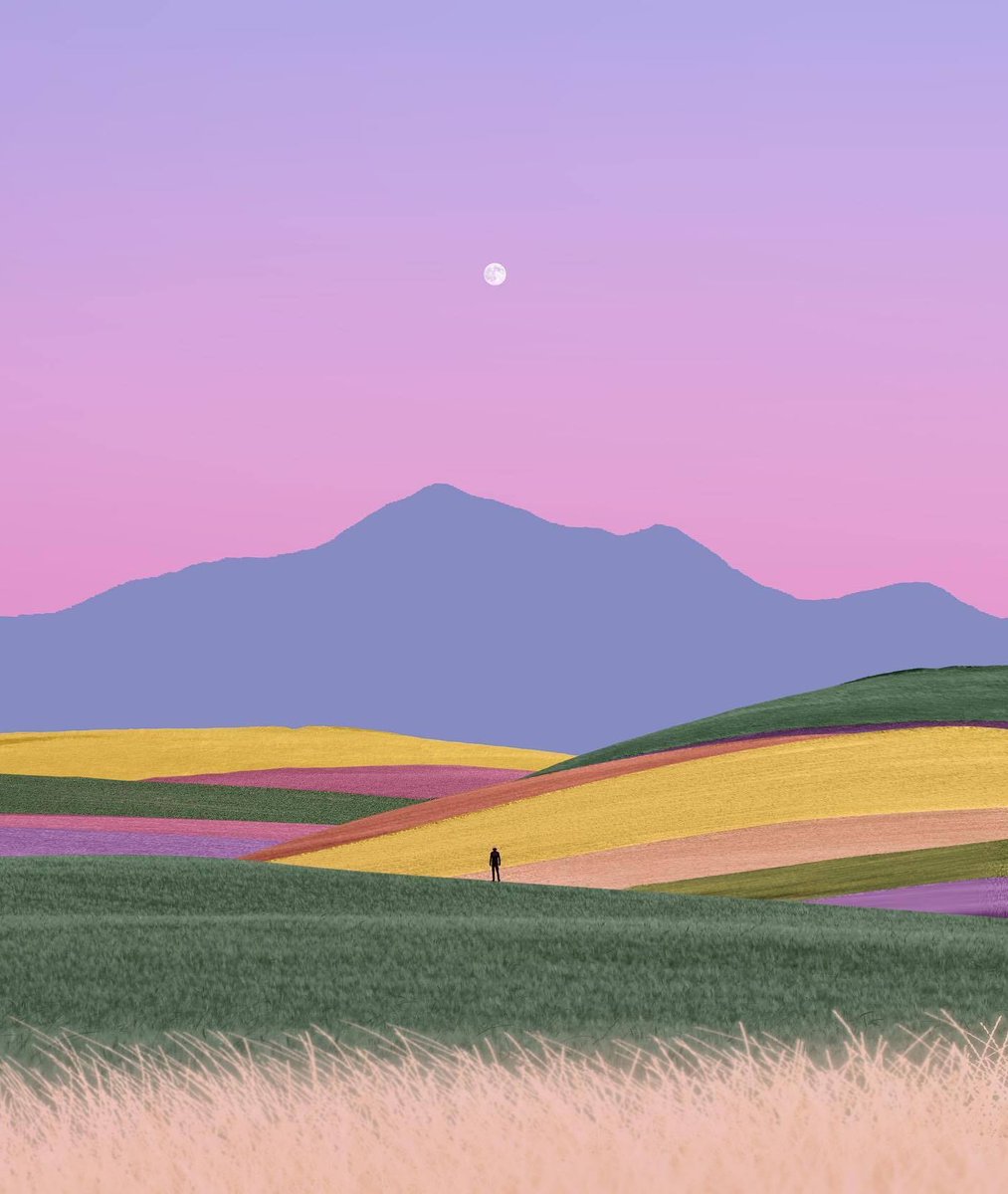 viewsfrance's tweet photo. Les univers colorés d'Andhika Ramadhian 🌈 https://t.co/rdzHqV57Ub