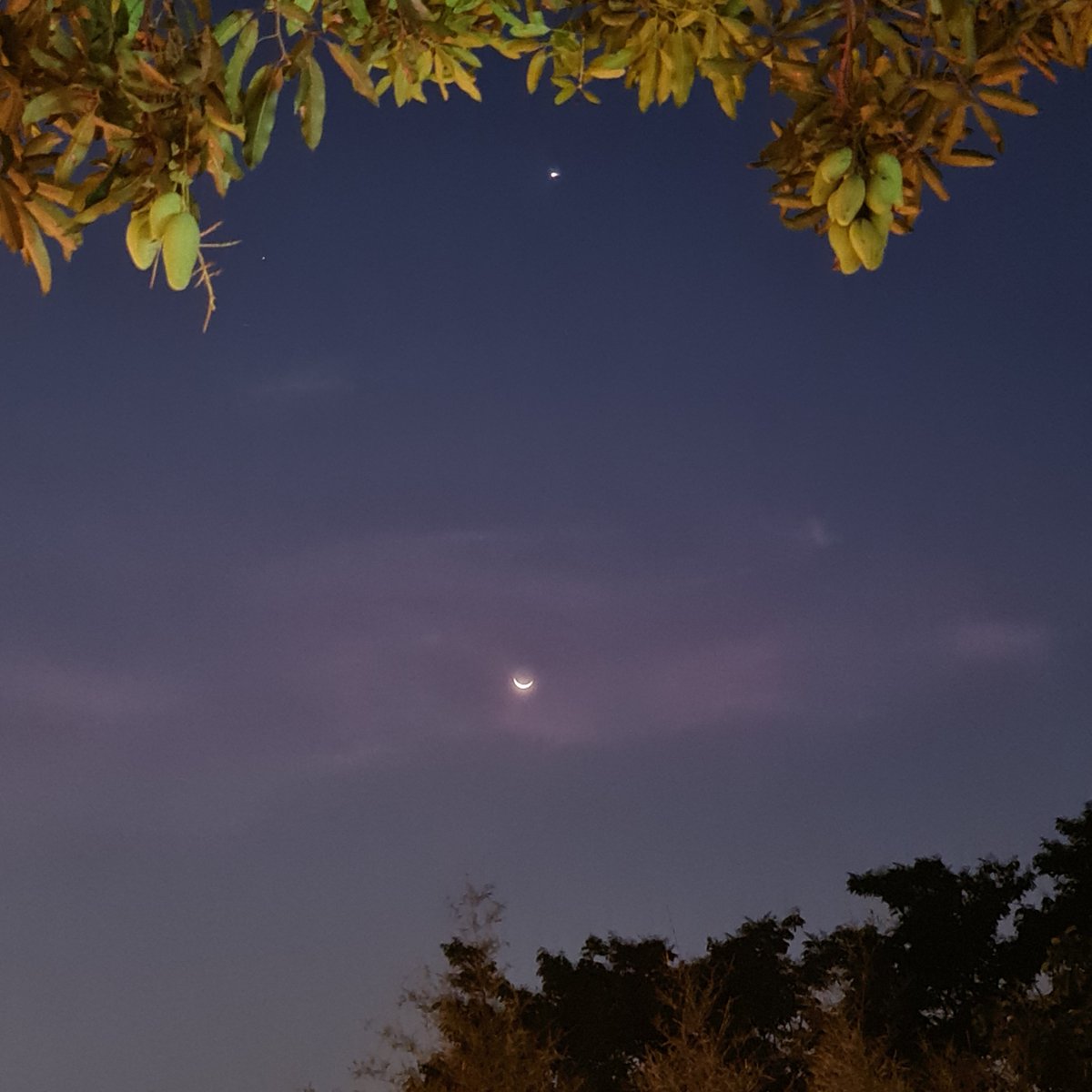 imanoona85's tweet photo. Shine brightly from the skies, our beautiful Moon Bin 🌙

#MOONBIN #문빈 https://t.co/c5GWRxsz96