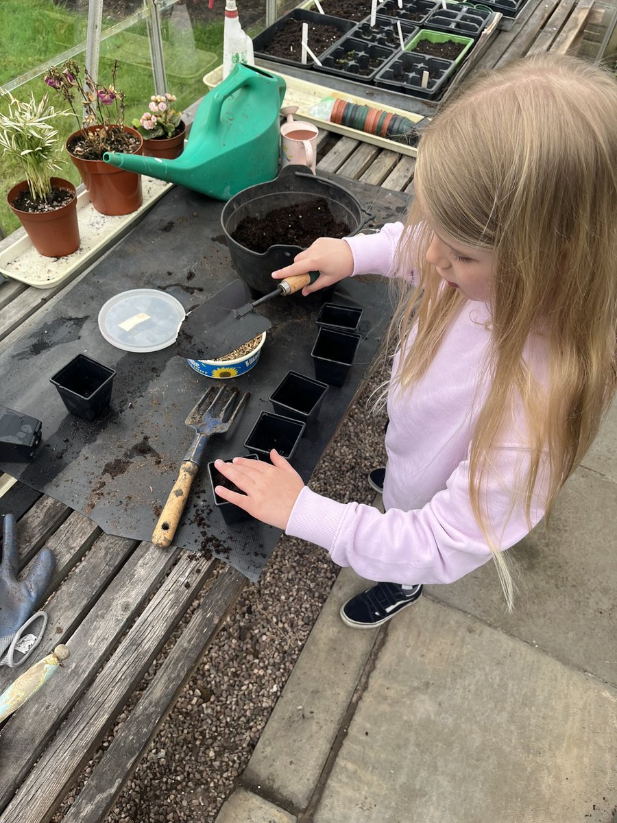 JORegan91's tweet photo. Martha loved planting her marigold seeds this morning on Earth day! @canon_burrows #EarthDay https://t.co/BZBUxO7CRx