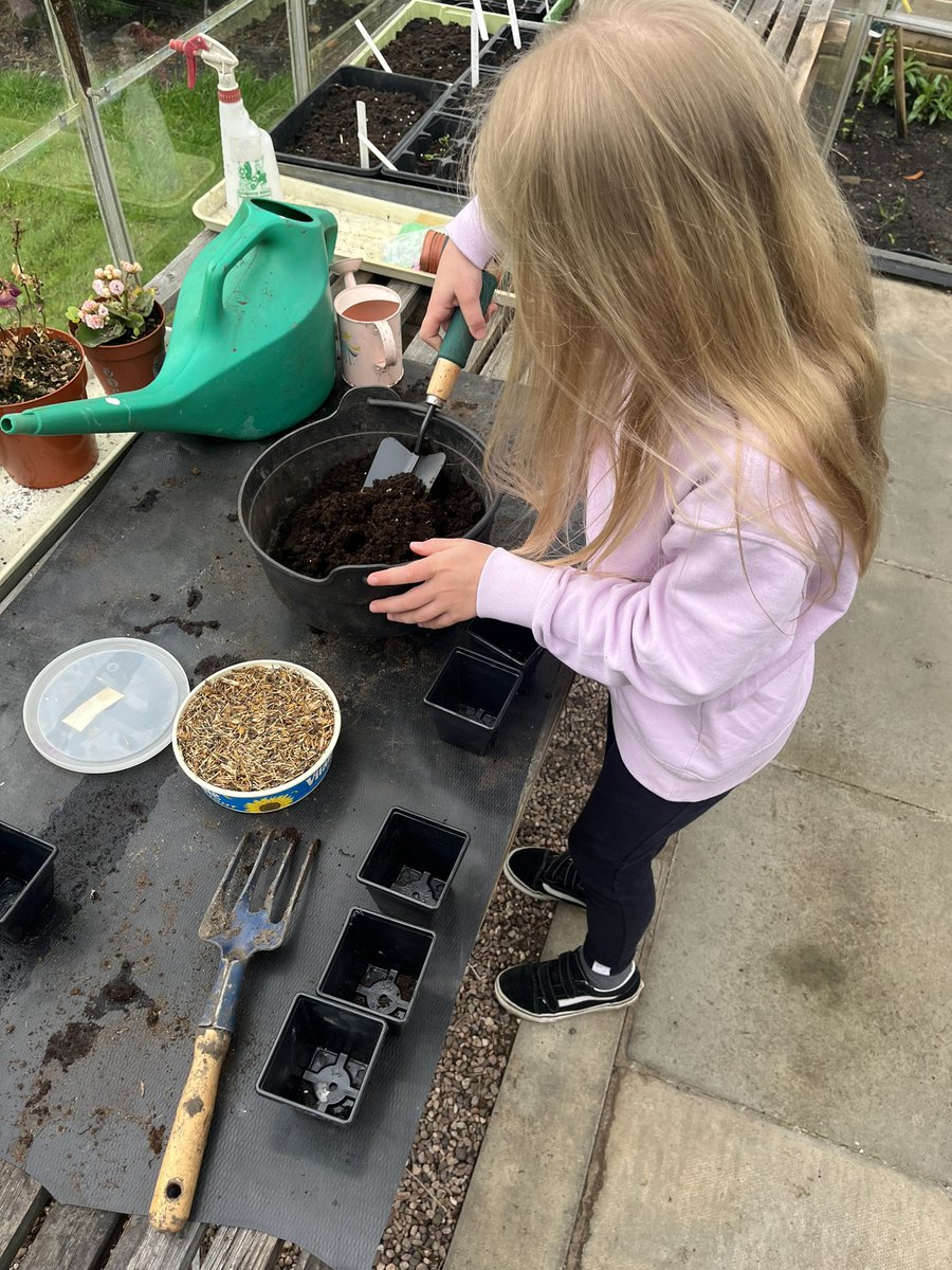 JORegan91's tweet photo. Martha loved planting her marigold seeds this morning on Earth day! @canon_burrows #EarthDay https://t.co/BZBUxO7CRx