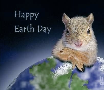 Happy Earth Day
to fantastic squirrels everywhere 💚🐿️🌿 #WorldEarthDay2023
#squirrels